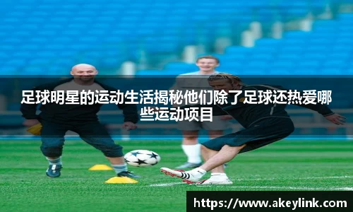 天博克罗地亚平台